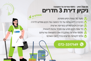 ניקיון דירת 3 חדרים
